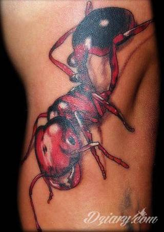 Tatuaże 3D intrygujące oko i prowadzące do swoistej gry ze zmysłami. Wzory, które na skórze łączą realizm i abstrakcję; graniczą z animacją i zachwycają doskonałością odwzorowania. Trójmiarowe tatuaże zadziwiają drobiazgowością kształtów i nadzwyczajną precyzją realizacji.