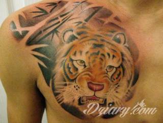 Tatuaże 3D intrygujące oko i prowadzące do swoistej gry ze zmysłami. Wzory, które na skórze łączą realizm i abstrakcję; graniczą z animacją i zachwycają doskonałością odwzorowania. Trójmiarowe tatuaże zadziwiają drobiazgowością kształtów i nadzwyczajną precyzją realizacji.