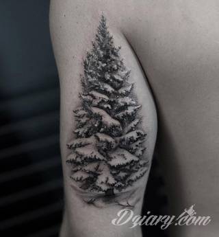 Tatuaże 3D intrygujące oko i prowadzące do swoistej gry ze zmysłami. Wzory, które na skórze łączą realizm i abstrakcję; graniczą z animacją i zachwycają doskonałością odwzorowania. Trójmiarowe tatuaże zadziwiają drobiazgowością kształtów i nadzwyczajną precyzją realizacji.