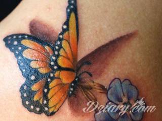 Tatuaże 3D intrygujące oko i prowadzące do swoistej gry ze zmysłami. Wzory, które na skórze łączą realizm i abstrakcję; graniczą z animacją i zachwycają doskonałością odwzorowania. Trójmiarowe tatuaże zadziwiają drobiazgowością kształtów i nadzwyczajną precyzją realizacji.