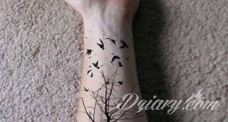 Tatuaże 3D intrygujące oko i prowadzące do swoistej gry ze zmysłami. Wzory, które na skórze łączą realizm i abstrakcję; graniczą z animacją i zachwycają doskonałością odwzorowania. Trójmiarowe tatuaże zadziwiają drobiazgowością kształtów i nadzwyczajną precyzją realizacji.