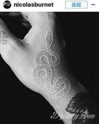 Białe tatuaże wyglądające np. na dłoni niczym delikatna, koronkowa rękawiczka. Świetne wzory dla kobiet dbających o nieprzeciętny image. Białe tatuaże o różnorodnym poziomie detali pozwalają na ozdobienie skóry w sposób subtelny i ujęty w formie symbolu.