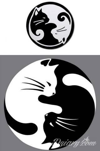 Białe tatuaże wyglądające np. na dłoni niczym delikatna, koronkowa rękawiczka. Świetne wzory dla kobiet dbających o nieprzeciętny image. Białe tatuaże o różnorodnym poziomie detali pozwalają na ozdobienie skóry w sposób subtelny i ujęty w formie symbolu.