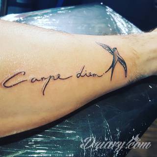 Popularne grafiki z symbolicznym hasłem Carpe Diem - tatuaże o niebanalnej różnorodności czcionek. Carpe Diem na skórze nie musi ograniczać się wyłącznie do standardowej kursywy; intrygować może też hasło w innych formach.