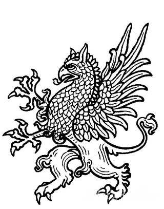 Intensywne ciemne tatuaże - o pogłębionej czerni i ciekawym kontraście z bielszym odcieniem skóry. Duże formaty i szczegółowa kreska pozwalają podkreślić oryginalność grafik. Czarne tatuaże to wszechstronność: od skromnych po duże i rozbudowane wzory.  