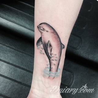 Tatuaże delfin