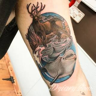 Tatuaże delfin