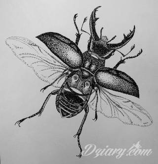 Rysunki na skórze o nadzwyczajnym poziomie szczegółowości. Tatuaże wykonywane misternie stawianymi kropkami, które tworzą niezwykłe obrazy dotwork - zarówno standardowe jak i wizje artystyczne. 