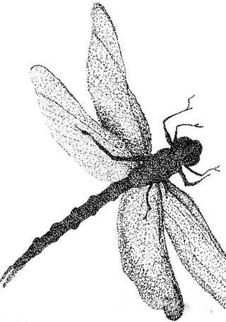 Rysunki na skórze o nadzwyczajnym poziomie szczegółowości. Tatuaże wykonywane misternie stawianymi kropkami, które tworzą niezwykłe obrazy dotwork - zarówno standardowe jak i wizje artystyczne. 