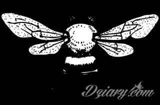 Rysunki na skórze o nadzwyczajnym poziomie szczegółowości. Tatuaże wykonywane misternie stawianymi kropkami, które tworzą niezwykłe obrazy dotwork - zarówno standardowe jak i wizje artystyczne. 