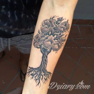 Tatuaże, w których głównym motywem są drzewa to symbol wytrwałości, pięcia się do góry, twardości. Nie muszą ograniczać się do konaru. Drzewo bywa na tatuażu czymś zdecydowanie bardziej znaczącym.