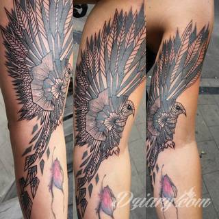 Nieśmiertelność, odrodzenie, powstanie z popiołów - taka symbolika tatuaży z Feniksem w niebanalny sposób ozdobi skórę osób o ogromnej wytrwałości. Tatuaże mogą być zarówno proste jak i skomplikowane; na tych drugich Feniks przyjmuje szczególnie ciekawe formy.