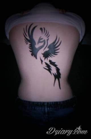 Nieśmiertelność, odrodzenie, powstanie z popiołów - taka symbolika tatuaży z Feniksem w niebanalny sposób ozdobi skórę osób o ogromnej wytrwałości. Tatuaże mogą być zarówno proste jak i skomplikowane; na tych drugich Feniks przyjmuje szczególnie ciekawe formy.