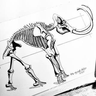 Tatuaże na całym ciele; format full body pozwala na pełną swobodę kreacji rysunku na ciele. Różnorodność grafik i mnogość kolorów czynią z ciała paletę malarską, która pełna jest wzorów i grafiki.