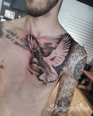 Tatuaże gołębie
