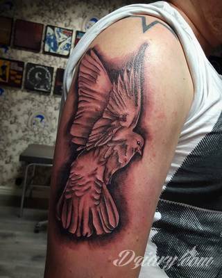 Tatuaże gołębie