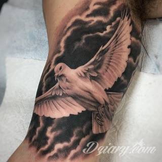 Tatuaże gołębie