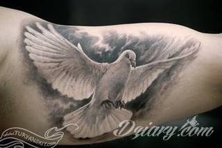 Tatuaże gołębie