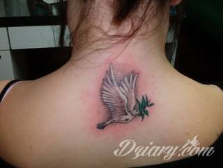 Tatuaże gołębie
