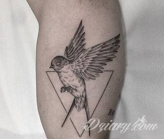 Ptak na skórze uosabia wolność i swobodę; tatuaże odwzorowujące jaskółki zachwycają lekkością i niebanalną kolorystyką. To grafiki zarówno o dużej dozie realizmu jak i będące motywami opartymi na fantazji twórców. 