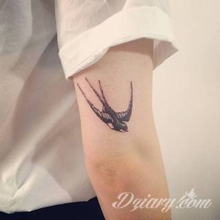 Ptak na skórze uosabia wolność i swobodę; tatuaże odwzorowujące jaskółki zachwycają lekkością i niebanalną kolorystyką. To grafiki zarówno o dużej dozie realizmu jak i będące motywami opartymi na fantazji twórców. 