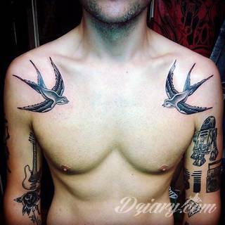 Ptak na skórze uosabia wolność i swobodę; tatuaże odwzorowujące jaskółki zachwycają lekkością i niebanalną kolorystyką. To grafiki zarówno o dużej dozie realizmu jak i będące motywami opartymi na fantazji twórców. 