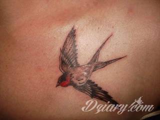 Ptak na skórze uosabia wolność i swobodę; tatuaże odwzorowujące jaskółki zachwycają lekkością i niebanalną kolorystyką. To grafiki zarówno o dużej dozie realizmu jak i będące motywami opartymi na fantazji twórców. 