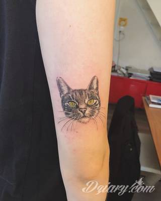 Kocie tatuaże to nie tylko duże projekty sympatycznych milusińskich. Tatuaże z kotami to również małe projekty, które dyskretnie ozdabiają miejsca częściowo zakryte - fragmenty uszy czy obręcz barkową.