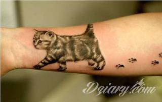 Kocie tatuaże to nie tylko duże projekty sympatycznych milusińskich. Tatuaże z kotami to również małe projekty, które dyskretnie ozdabiają miejsca częściowo zakryte - fragmenty uszy czy obręcz barkową.