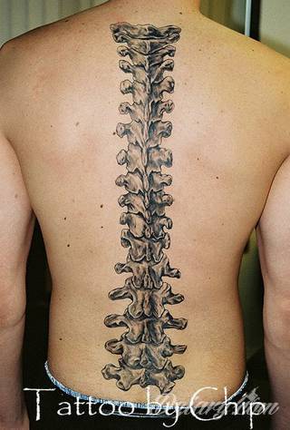 Projekty podkreślające ludzki kręgosłup; naturalne odwzorowanie kręgów jak i fantazyjne linie nawiązujące do smukłości i swoistego rdzenia naszej aktywności. 