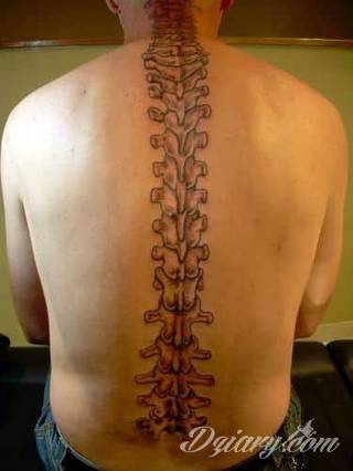 Projekty podkreślające ludzki kręgosłup; naturalne odwzorowanie kręgów jak i fantazyjne linie nawiązujące do smukłości i swoistego rdzenia naszej aktywności. 