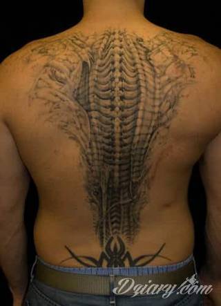 Projekty podkreślające ludzki kręgosłup; naturalne odwzorowanie kręgów jak i fantazyjne linie nawiązujące do smukłości i swoistego rdzenia naszej aktywności. 