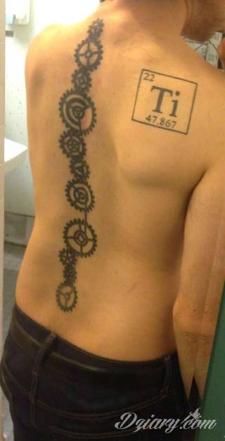 Projekty podkreślające ludzki kręgosłup; naturalne odwzorowanie kręgów jak i fantazyjne linie nawiązujące do smukłości i swoistego rdzenia naszej aktywności. 