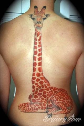 Projekty podkreślające ludzki kręgosłup; naturalne odwzorowanie kręgów jak i fantazyjne linie nawiązujące do smukłości i swoistego rdzenia naszej aktywności. 