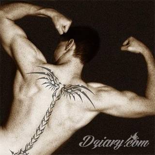 Projekty podkreślające ludzki kręgosłup; naturalne odwzorowanie kręgów jak i fantazyjne linie nawiązujące do smukłości i swoistego rdzenia naszej aktywności. 