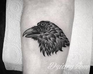 Tajemnicze i oparte głównie na motywie czerni - przeplatanej gdzieniegdzie z kontrą bieli - tatuaże kruków. Ciekawa forma dla osób stawiających na niebanalne formy zdobienia ciała. Kruk na tatuażach często stanowi też część większej przestrzeni. 