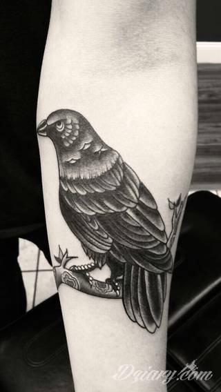 Tajemnicze i oparte głównie na motywie czerni - przeplatanej gdzieniegdzie z kontrą bieli - tatuaże kruków. Ciekawa forma dla osób stawiających na niebanalne formy zdobienia ciała. Kruk na tatuażach często stanowi też część większej przestrzeni. 