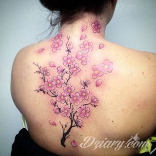 Dwa niewielkie owoce, rozbudowane drzewo zajmujące plecy a może płacząca kolorami wiśnia na łopatce? Każdy z motywów graficznych kwiatu wiśni ma swoją własną specyfikę, którą dopasować można do odbiorcy. 