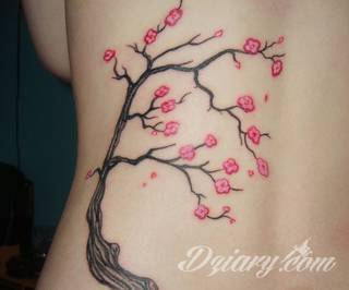 Dwa niewielkie owoce, rozbudowane drzewo zajmujące plecy a może płacząca kolorami wiśnia na łopatce? Każdy z motywów graficznych kwiatu wiśni ma swoją własną specyfikę, którą dopasować można do odbiorcy. 