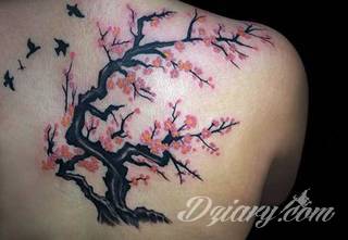 Dwa niewielkie owoce, rozbudowane drzewo zajmujące plecy a może płacząca kolorami wiśnia na łopatce? Każdy z motywów graficznych kwiatu wiśni ma swoją własną specyfikę, którą dopasować można do odbiorcy. 