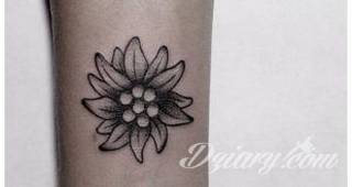 Wzory tatuaży na nadgarstki mogą być zarówno skromne i symboliczne jak i rozbudowane zarówno pod względem formy jak i kolorystyki. Cytaty, niewielkie krzyże, ale też spore koniczyny - wybór jest ogromny. 