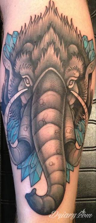 Tatuaże na przedramieniu czy na ramieniu i barku to swobodne wariacje: motywy geograficzne, twarze, wzory lub teksty - grafiki na ramionach dają wyjątkowy wybór motywów i rozwiązań. 