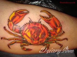 Tatuaże na przedramieniu czy na ramieniu i barku to swobodne wariacje: motywy geograficzne, twarze, wzory lub teksty - grafiki na ramionach dają wyjątkowy wybór motywów i rozwiązań. 