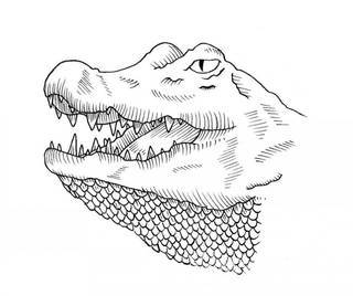 Tatuaż na szyi lub na karku jest głównie domeną mężczyzn, ale odpowiednia aranżacja daje również sporo opcji kobietom. To zwykle mocne, wyraziste grafiki o fantazyjnych kształtach inspirowanych wyobraźnią. 