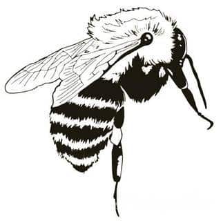 Tatuaż na szyi lub na karku jest głównie domeną mężczyzn, ale odpowiednia aranżacja daje również sporo opcji kobietom. To zwykle mocne, wyraziste grafiki o fantazyjnych kształtach inspirowanych wyobraźnią. 