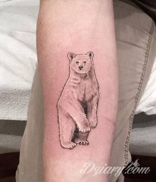 Tatuaże niedźwiedzie to wzory z prostym przekazem - groźne zwierzęta nadają ciały wyraźnej drapieżności. Grafiki z niedźwiedziem świetnie sprawdzają się przede wszystkim na męskich, silnych ramionach.
