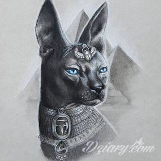 Tatuaże z okiem w centrum to wyjątkowo szeroka gama grafik - zarówno pod kątem kształtów jak i kolorystyki. Oko na skórze może być różne: tajemnicze, groźne, półprzymknięte lub rozwarte niczym w szoku. 