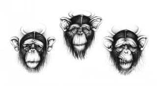 Tatuaże z okiem w centrum to wyjątkowo szeroka gama grafik - zarówno pod kątem kształtów jak i kolorystyki. Oko na skórze może być różne: tajemnicze, groźne, półprzymknięte lub rozwarte niczym w szoku. 