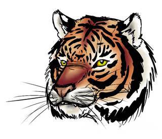 Tatuaże z okiem w centrum to wyjątkowo szeroka gama grafik - zarówno pod kątem kształtów jak i kolorystyki. Oko na skórze może być różne: tajemnicze, groźne, półprzymknięte lub rozwarte niczym w szoku. 