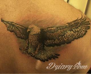 Klasyka tatuaży - szczególnie w męskim wydaniu. Orzeł, symbol wolności - ale też niekiedy patriotyzmu - to stały, chętnie wybierany wzór na tatuaż. Zazwyczaj przybiera formę silnego ptaka o rozpostartych szeroko skrzydłach. 